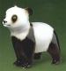 Panda stojící